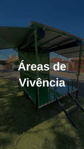 Areas de vivencia